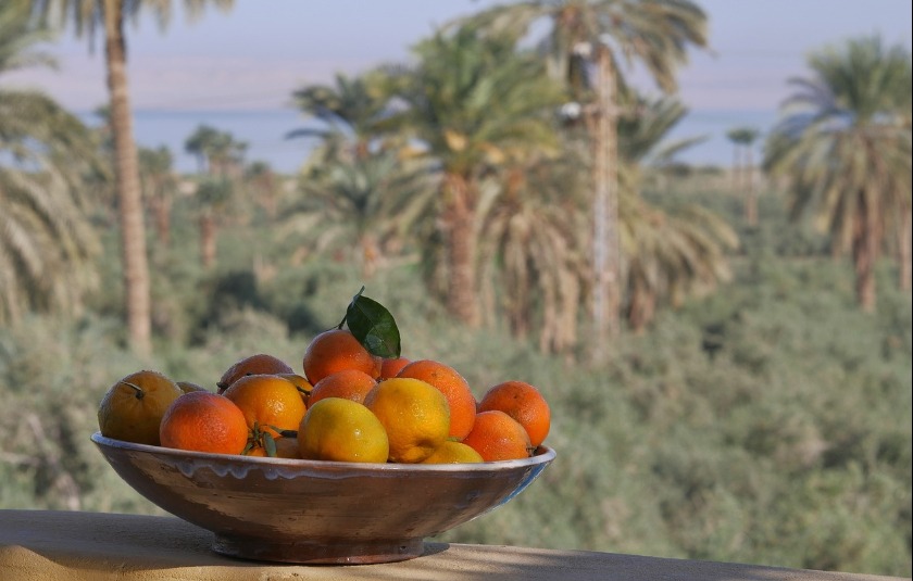 fructe din Egipt