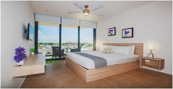 One Bedroom Apartment