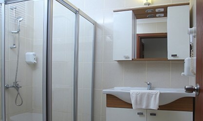 Standard Land View Room