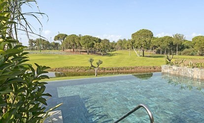 Lagoon Golf Family Swim Up