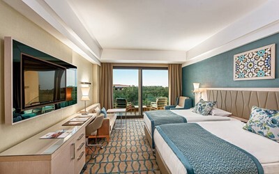 Deluxe Standard Room