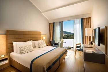 Classic Twin Room Land View