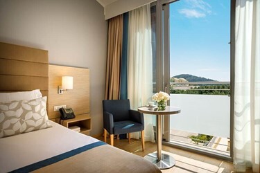 Classic Twin Room Land View