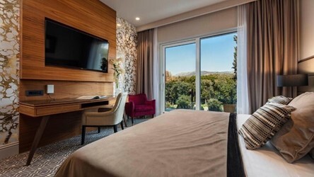 Luxury Roomv with Balcon
