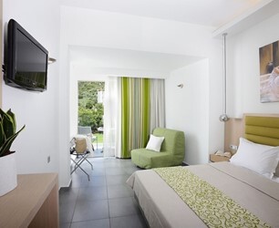 Standard double room