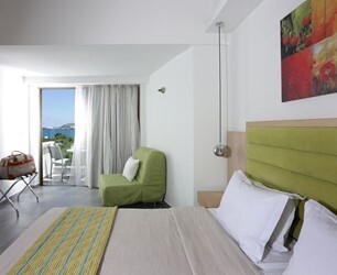 Standard double room