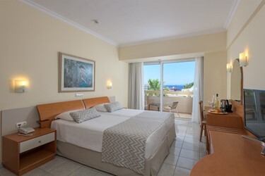 Double Room Single Use Garden View