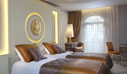 Deluxe Double or Twin Room 