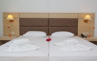 Standard Twin / Double Room