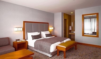 Standard Double or Twin Room with Garden View