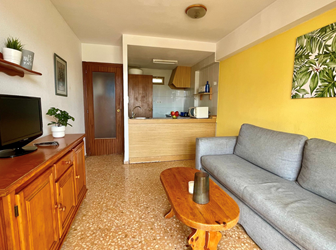 1-Bedroom Apartment