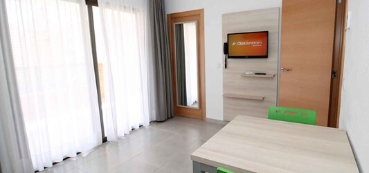 1 Bedroom Standard Apartment With Terrace