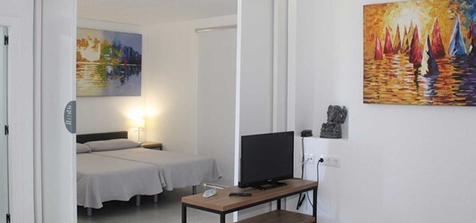 1 Bedroom Standard Apartment With Terrace