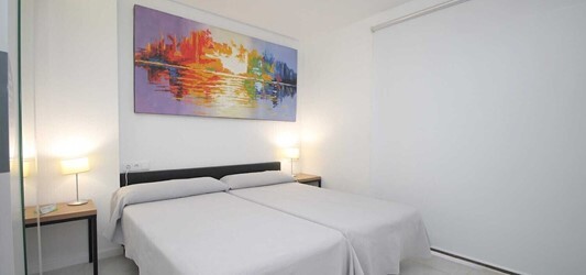 1 Bedroom Standard Apartment With Terrace