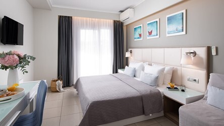 Double Room Single Use