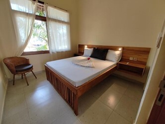 Deluxe One-Bedroom Apartment 