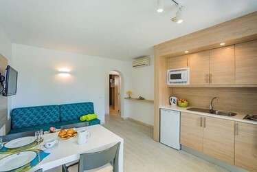 1-Bedroom Apartment