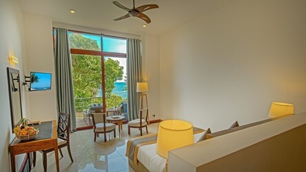 Luxury Room