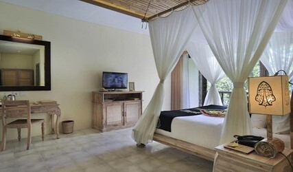 Valley Deluxe Room