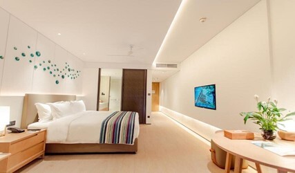 Deluxe Ocean View