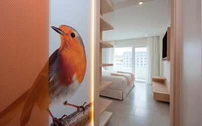 TWIN Balcony or Terrace, Standard