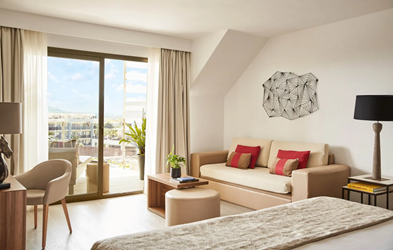 Junior Suite - Penthouse