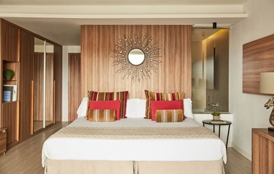 Junior Suite - Penthouse