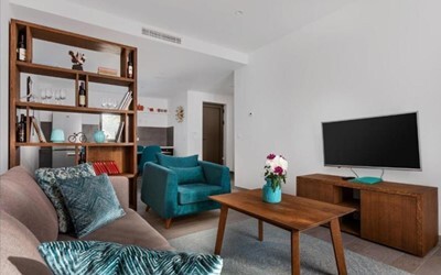 1 Bedroom Apartment