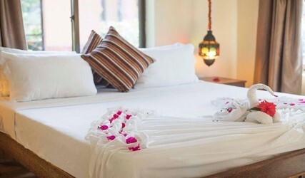 Garden Suite