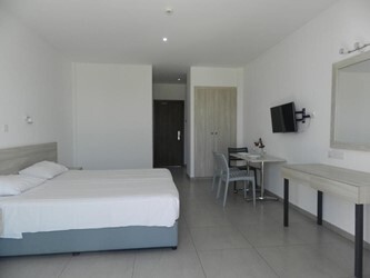 Superior Studio Apartment Inland View