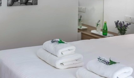 Superior One-Bedroom Suite with Garden View