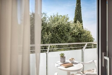 Superior Twin/Double Room with Balcony or Terrace Park View