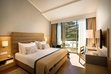 Superior Twin/Double Room with Balcony/Terrace Park View