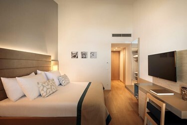 Superior Twin/Double Room with Balcony/Terrace Park View