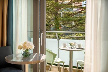 Superior Twin/Double Room with Balcony/Terrace Park View