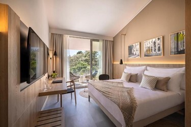 Superior Twin/Double Room with Balcony or Terrace Park View