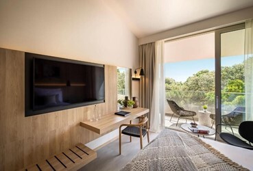 Superior Twin/Double Room with Balcony or Terrace Park View
