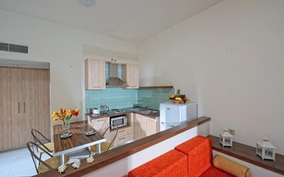 One Bedroom Apartment
