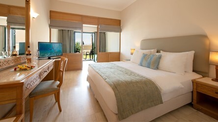 Superior Family Suite