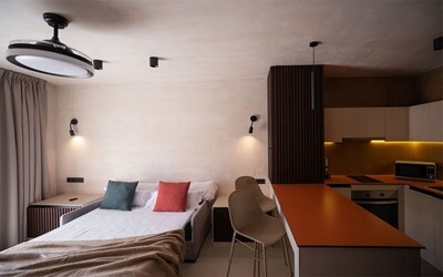 Studio Deluxe Apartment with private terrace
