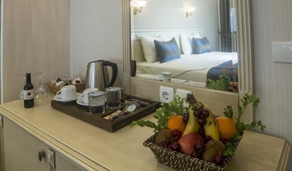Economy Double or Twin Room 