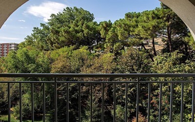 Dbl Park View