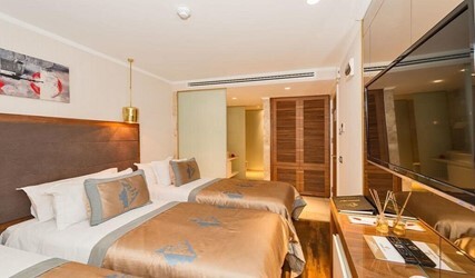 Double or Twin Room with Extra Bed