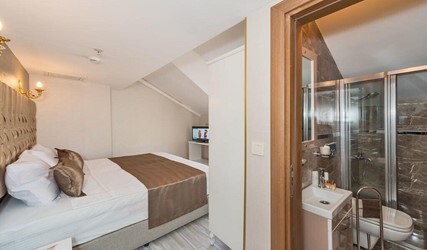 Standard Double or Twin Room
