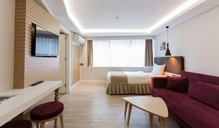 Deluxe One Bedroom Apartment