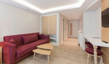 Deluxe One Bedroom Apartment