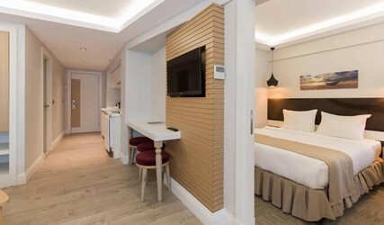 Deluxe One Bedroom Apartment