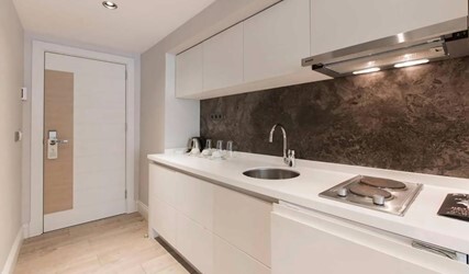 Deluxe One Bedroom Apartment