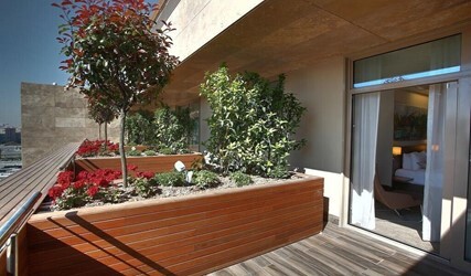 Comfort Terrace Room