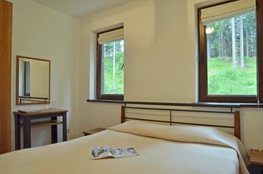 Apartment 1 Bedroom